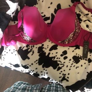 A beautiful bra with leopard accents size 40DDD